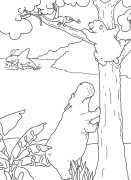 Pluim die klein ysbeer Online Coloring